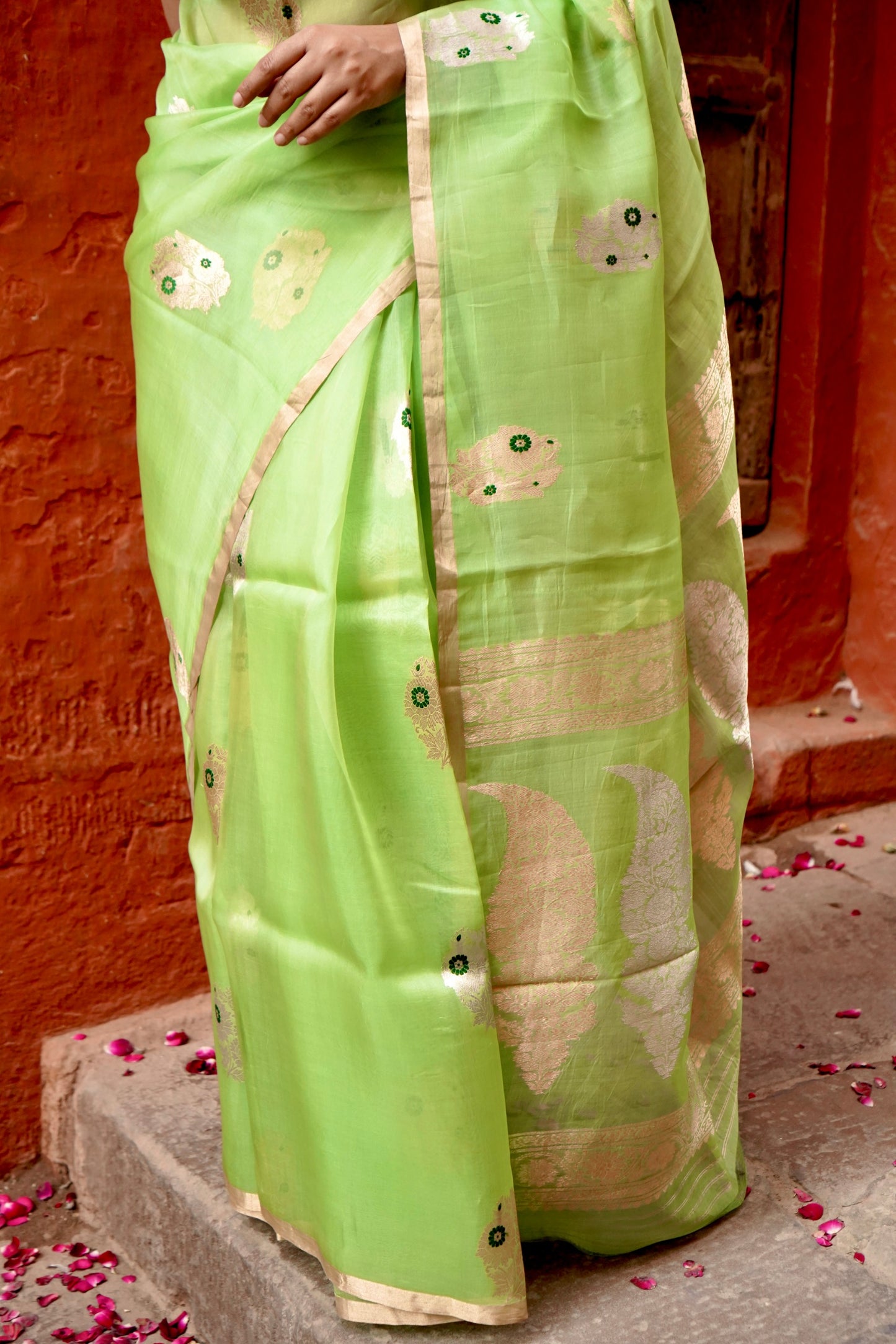 Parrot Pure Kora Silk Borderless with Mina Boota