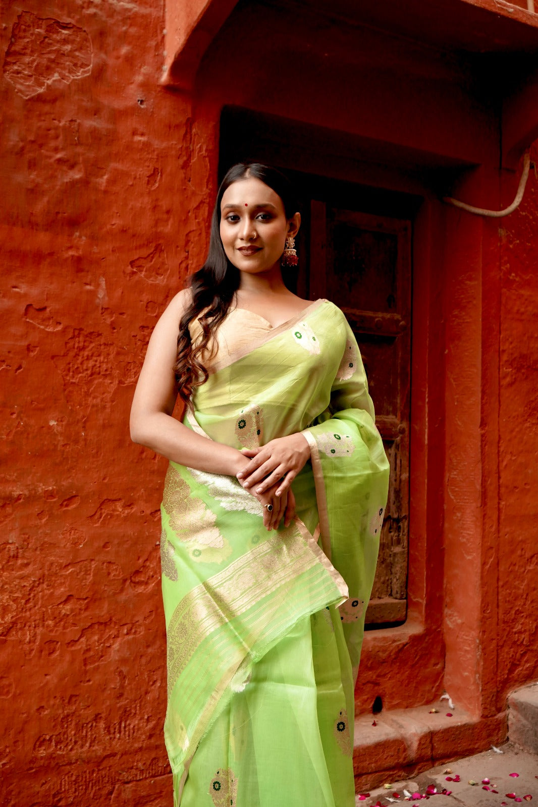 Parrot Pure Kora Silk Borderless with Mina Boota