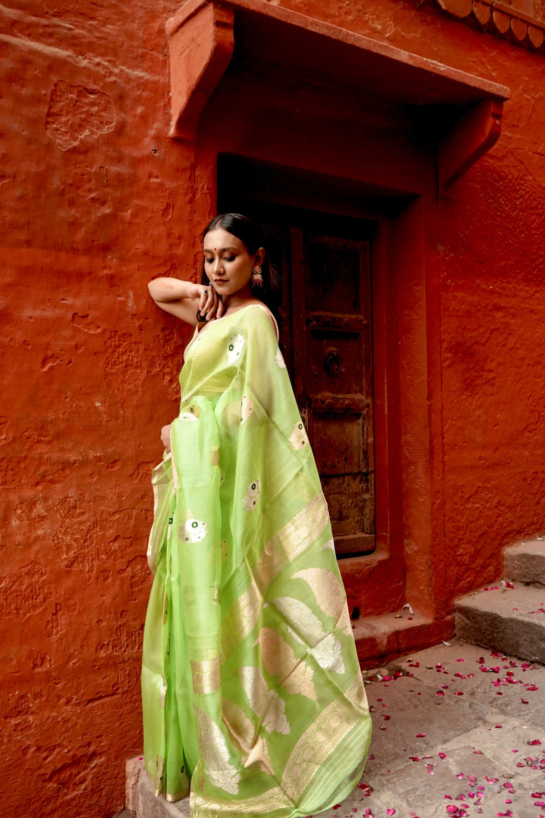 Parrot Pure Kora Silk Borderless with Mina Boota