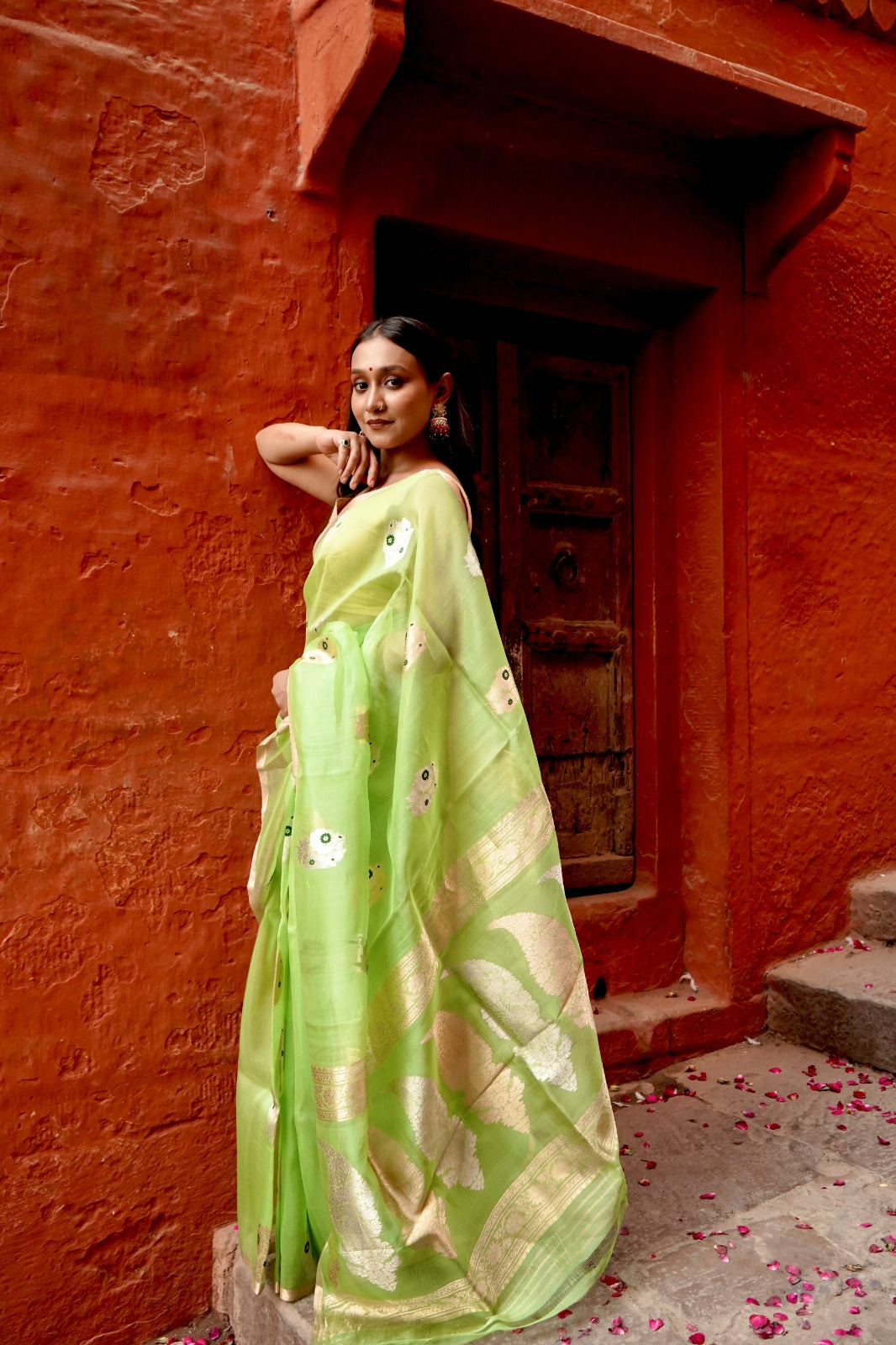 Parrot Pure Kora Silk Borderless with Mina Boota