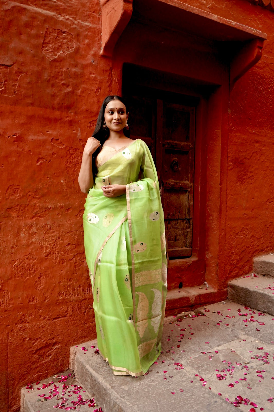 Parrot Pure Kora Silk Borderless with Mina Boota