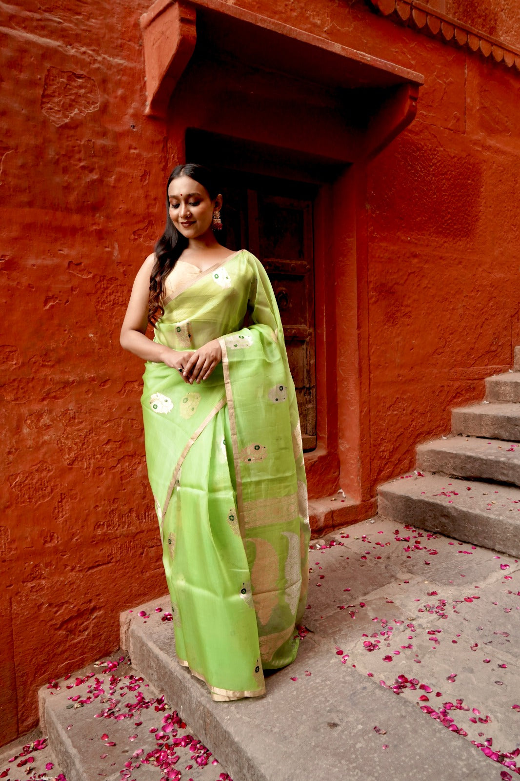 Parrot Pure Kora Silk Borderless with Mina Boota