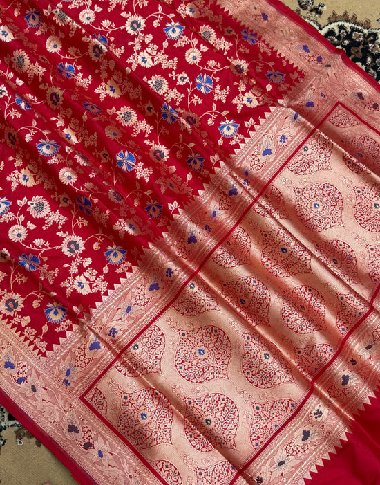 Red Color Pure Silk Handloom Banarasi Saree - All Over Jaal work with Meenakari