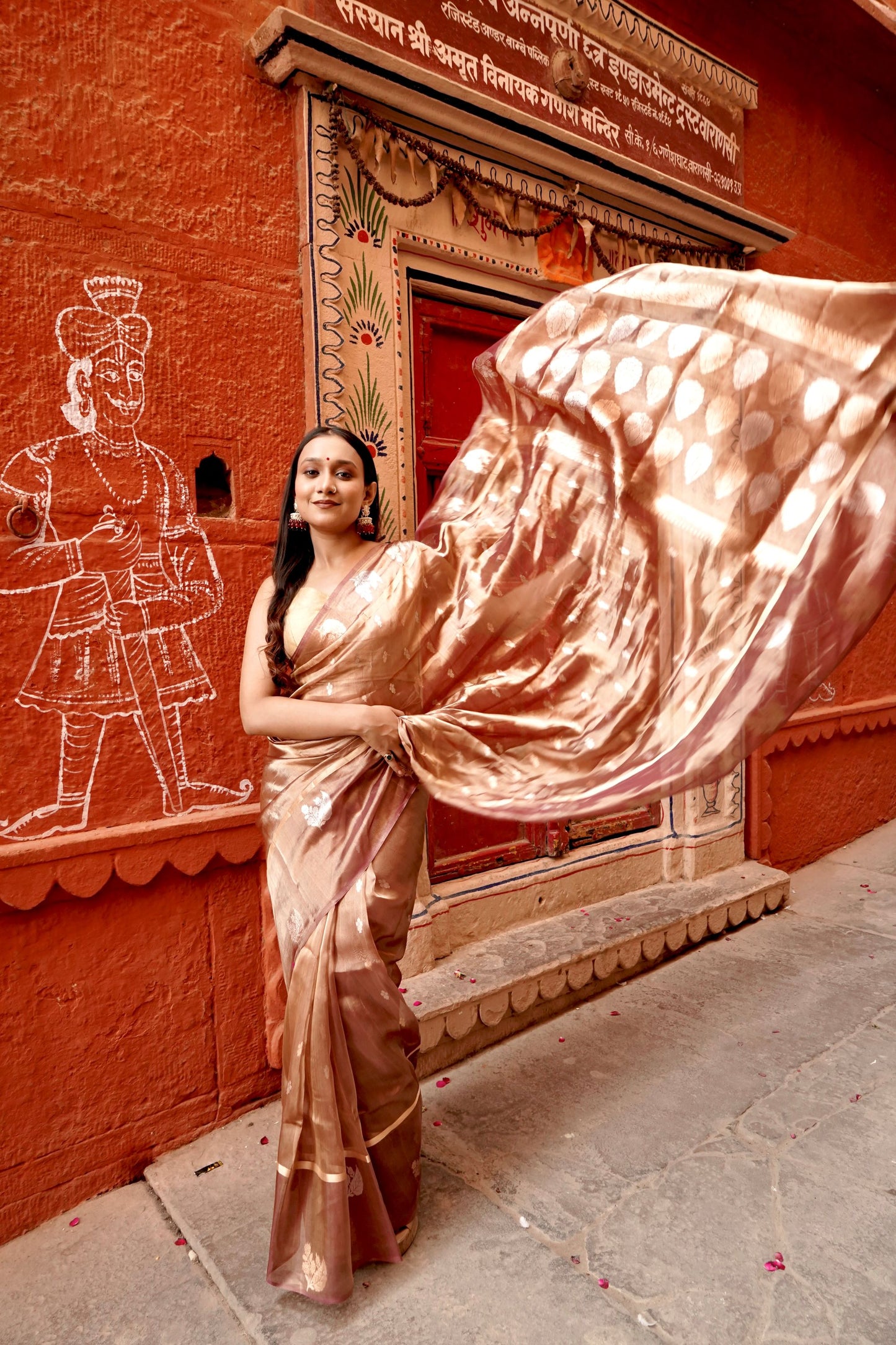 Pure Ektara Tissue Silk Borderless Kadhwa Boota Saree