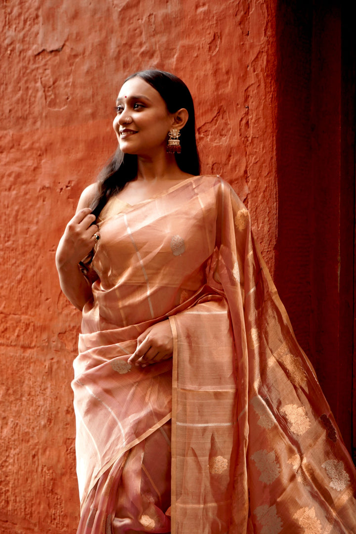 Pink Tissue Silk Borderless Boota Anchal Stripe Banarasi Saree