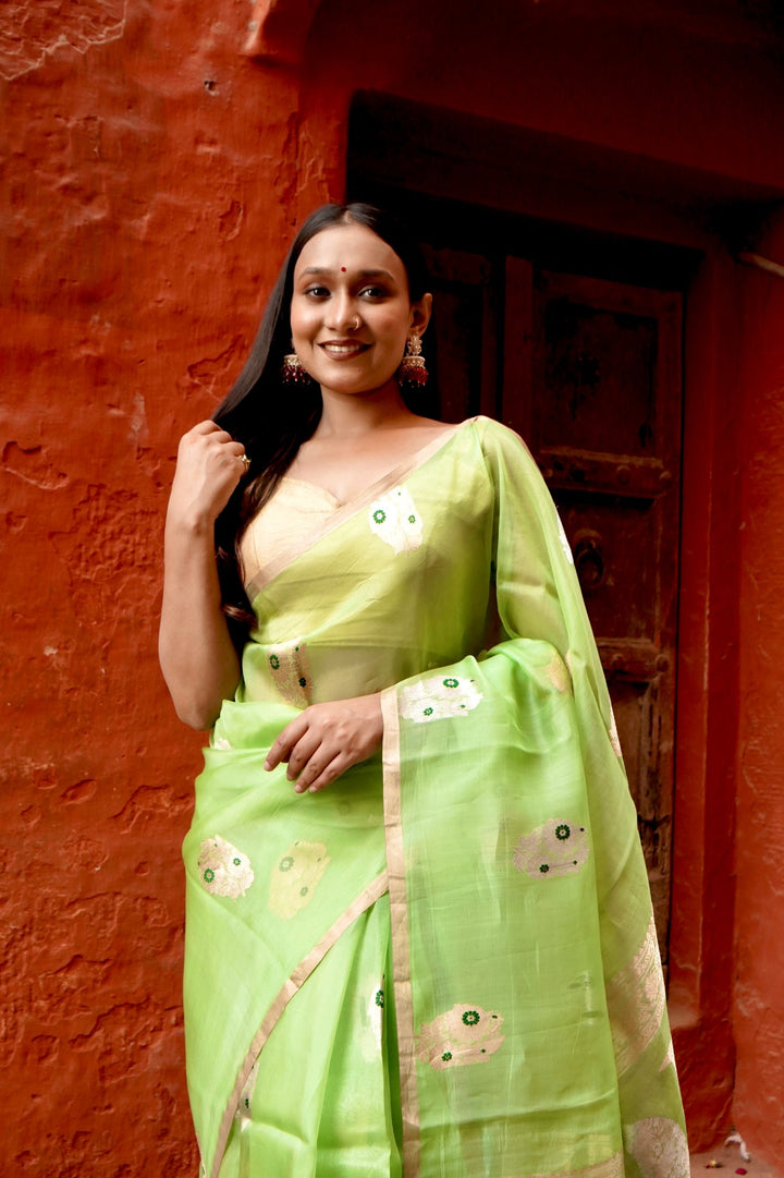 Parrot Pure Kora Silk Borderless with Mina Boota